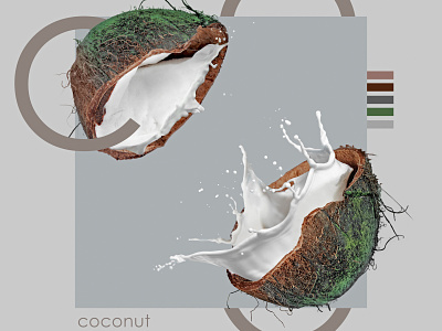 Fruit poster coconut advertasing art artwork coconut collage colorfull concept design graphicdesign illustration retouch splash