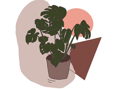 Monstera illustration plant simple summer