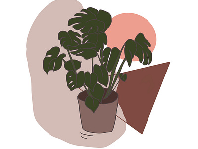 Monstera