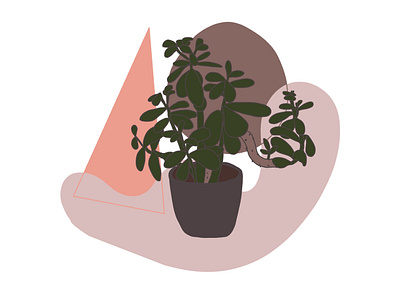 Tlustice colors design illustration interior plant simple