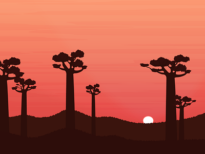 猴面包树 - 马达加斯加🇲🇬 baobab illustration madagascar scenery sunset
