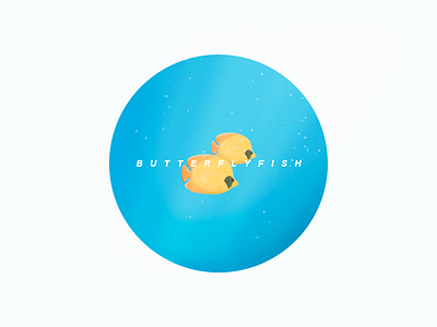 Butterflyfish