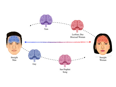 Gender in Thailand gender illustration science science and technology science illustration sexuality