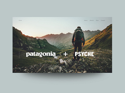 Patagonia and Psyche NASA Mission Collab Concept branding design illustrator ui ux web website