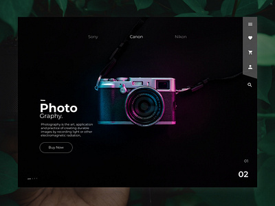 Photography Web Design branding design graphic design illustration logo minimal typography ui design