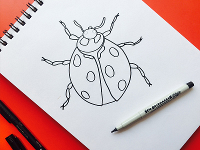 Ladybird Outline Drawing art drawing oil pastel outline