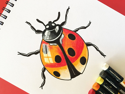 Ladybird with Oil Pastel Shading art drawing oil pastel