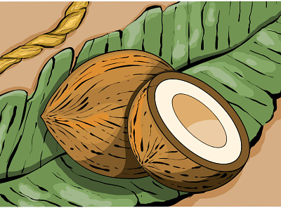coconut artwork coconut colour design drawing illustraion rope