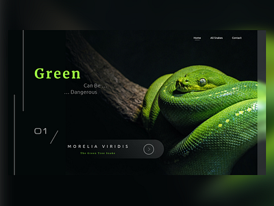 Green adobe xd graphic design landing page ui uidesign user interface web website concept website design xd design