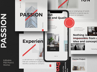 PASSION - Modern Business Instagram advertising art blog blogger business design digital art instagram instagram banner instagram post instagram stories instagram template instagram templates post posts social media social media pack social media template social media templates stories