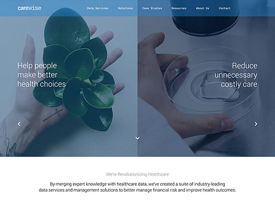 Carewise Landing Page art direction branding design healthcare landing technology ui ux website