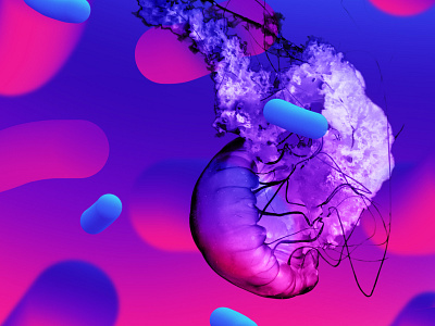 Jellyfish in a jellyworld fluid gradient illustration photoshop