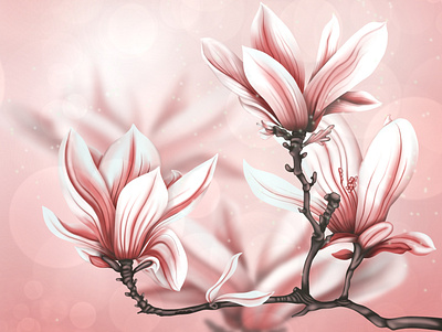 Magnolia illustration
