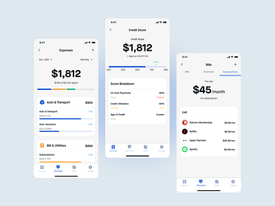 Financial Tracking App Design Concept