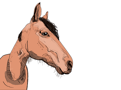 Horse art design digital illustration drawing illustration