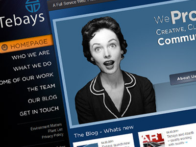 Tebays logo menu picture slider website