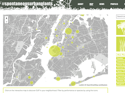 Spontaneous Urban Plants Website & Mapping Project data visualization mapping ui web