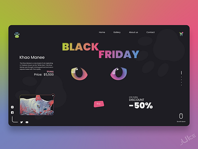 Black Friday Web UI Concept.