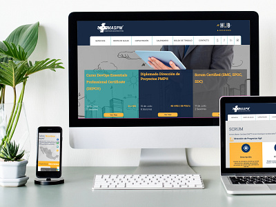 Página Web Responsive  MASPM®