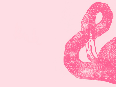 Ampersand Flamingo