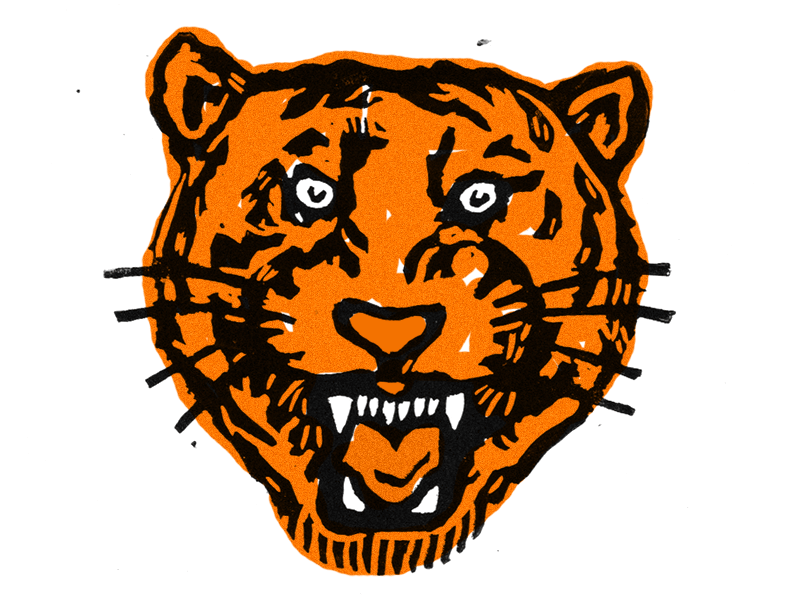 Detroit Tigers by Jon Neill on Dribbble