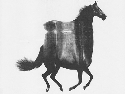 Wild Horses - 04 horse movement time xerox