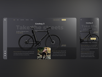 Cowboy Bicycle Concept