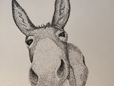 DonkeyDot animals donkey drawing illustration ink