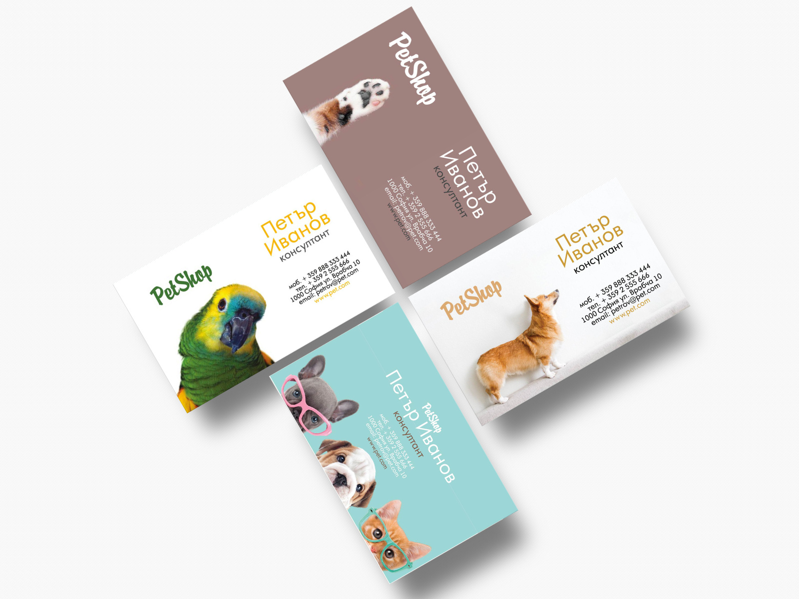 Business cards for pet shop consultant by Elitsa Bakalova on Dribbble