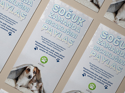 Stray Animals Survive the Winter (School Project) (TR) flyer design istanbul aydın mehmet ali görgü stray animals