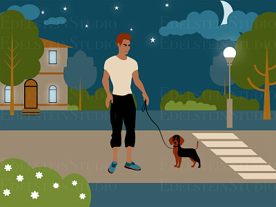 The Man is Walking a Dog in the Park at Night art cartoon design digital art flat illustration illustrator print vector vector illustration