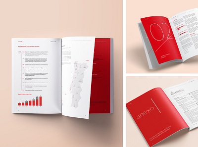 Banco CTT's Annual Report from 2016 annual report bank annual report business report editorial editorial design graphic design graphic project layout design minimalist report red and white typesetting