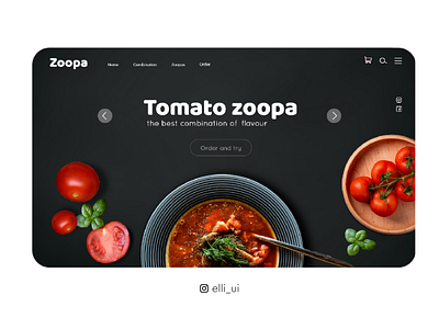 Zoopa app design icon type typography ui ux vector web website