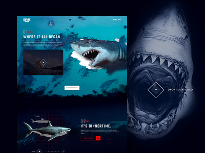 Sneak peek of concept Shark Week video website concept design personal project shark visual week