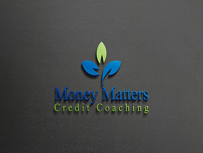 Money Matters Credit Coaching branding design graphic design logo