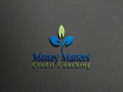 Money Matters Credit Coaching