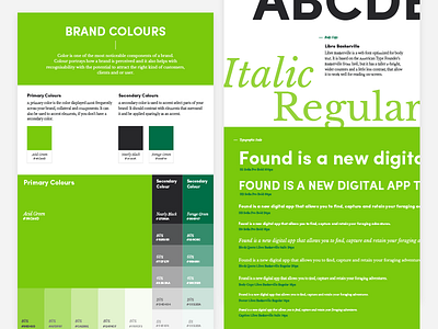 Brand Guidelines brand branding colour font green guidelines type website design