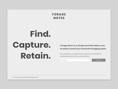 Holding Page Wireframe