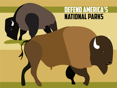 Defend National Parks bison national parks