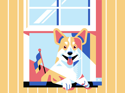 Dogs on windows - Ein animal character corgi dog estonia flat geometric illustration window winter