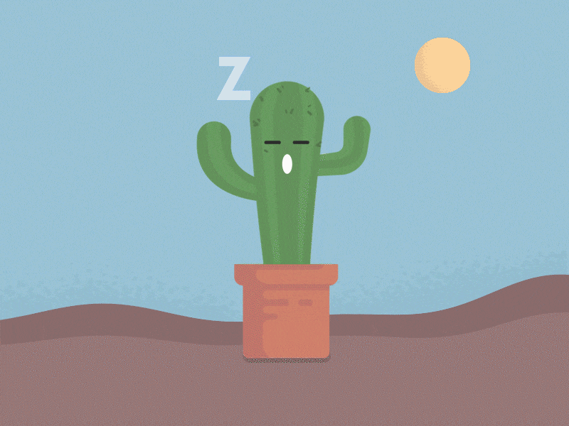 Cactus adobe aftereffects adobe illustrator animation animation 2d animation design cactus illustration design illustration vector winter