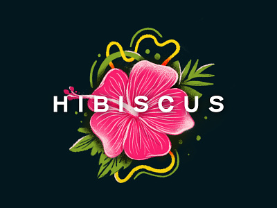 Hibiscus flowers hibiscus illustration illustration design illustration digital