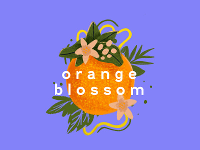 Orange Blossom Illustration design illustration orange orange blossom