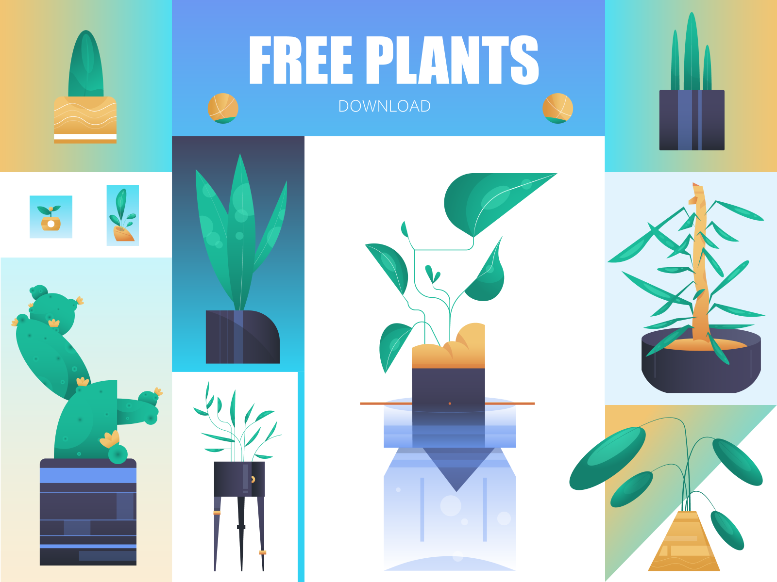 download indoor house plants for free