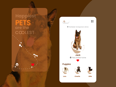 adopt me appdesign design doggy doglover pet pet profile petapp petshop splashscreen ui uidesigner ux