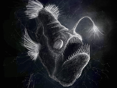 Angler Fish | Black Ocean Collection angler fish anglerfish black illustration ocean sketch