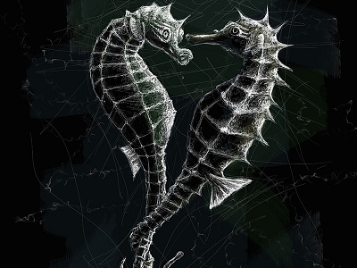 Seahorses | Black Ocean Collection black illustration ocean sea horse seahorse sketch