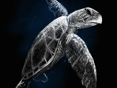 Turtle | Black Ocean Collection black illustration ocean sketch turtle