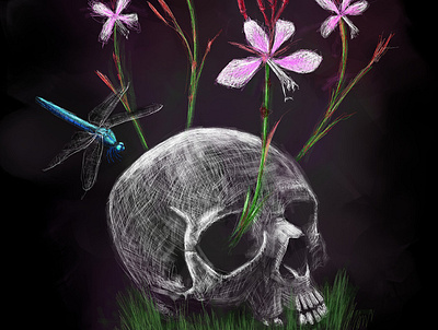 Death is Not the End | Competition Entry black coloured pencil dragonfly flowers illustration sketch skull