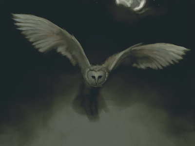 #Owltober2020 barnowl bird fog night owl owltober owltober2020 painting snowowl